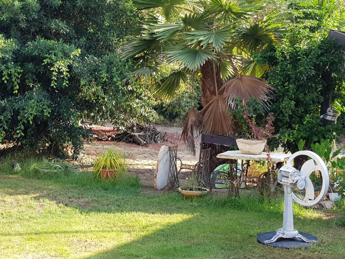 A Pastoral B & B Giv'at Ada Exterior foto